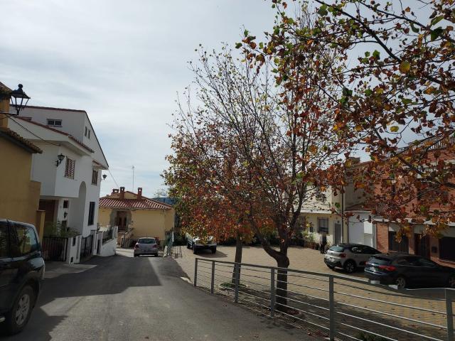 Chalet, Caudiel