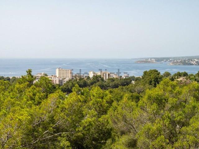 Chalet, Calvià