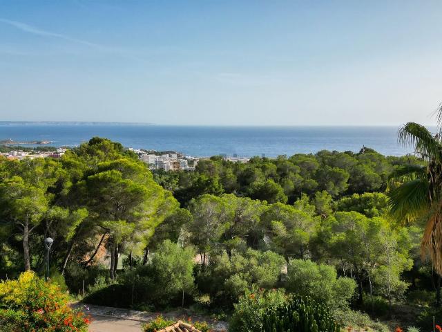 Chalet, Calvià