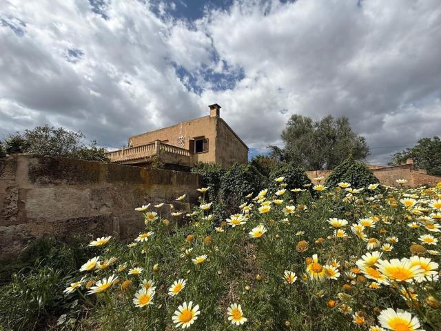 Chalet, Campos