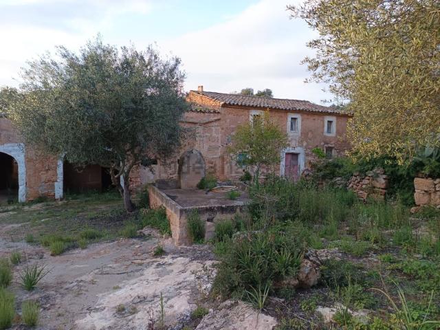 Chalet, Campos