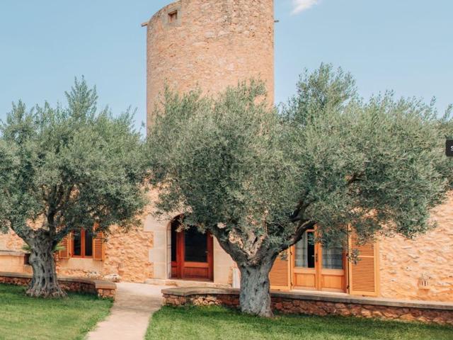 Chalet, Campos