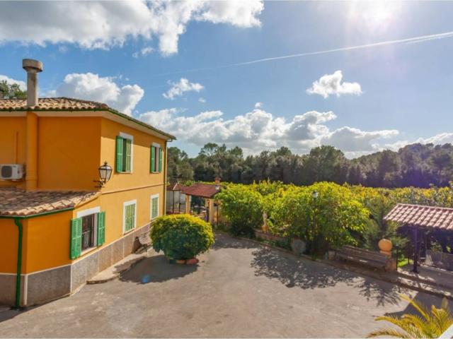 Chalet, Campanet