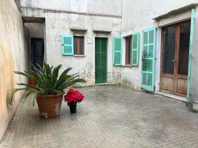 Chalet, Campanet