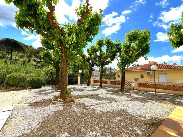 Chalet, Campins