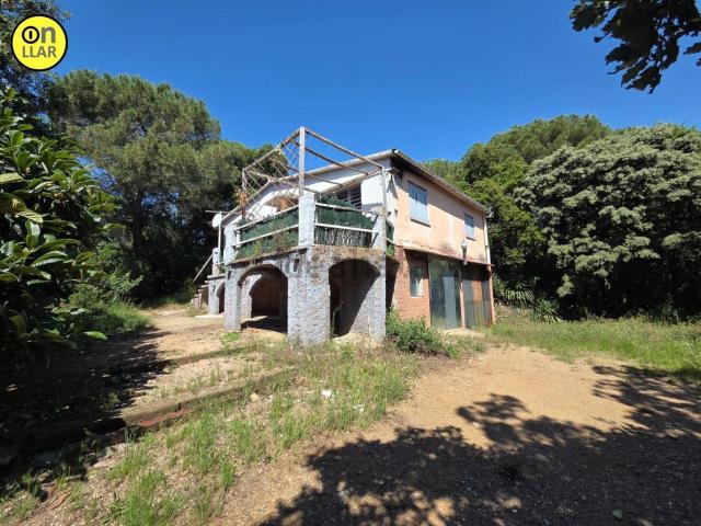 Chalet, Campins