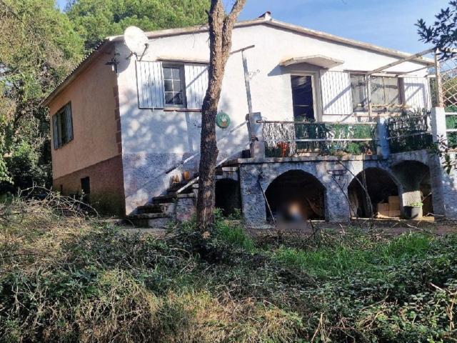 Chalet, Campins