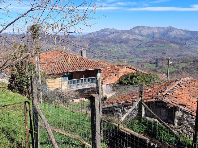 Chalet, Cangas de Onís