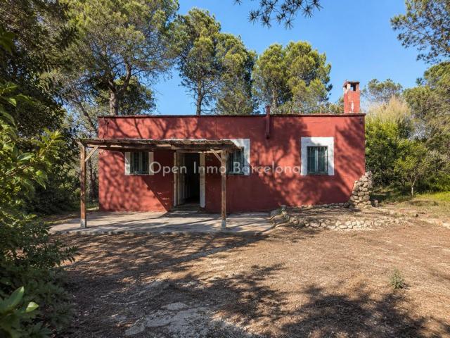 Chalet, Canyelles