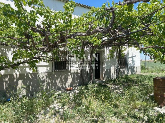 Chalet, Casas Ibañez