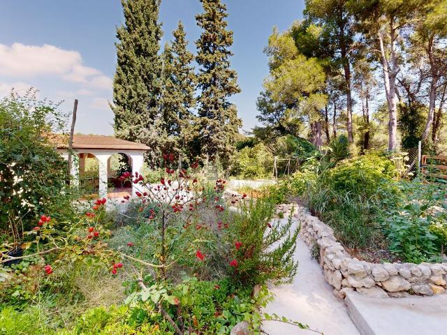 Chalet, Castellet i la Gornal