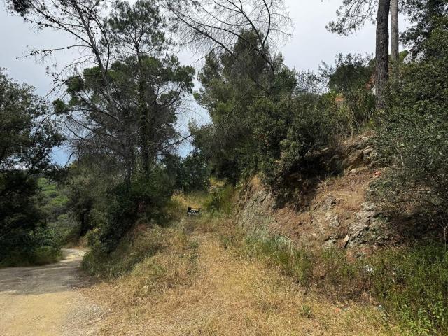 Chalet, Castellví de Rosanes
