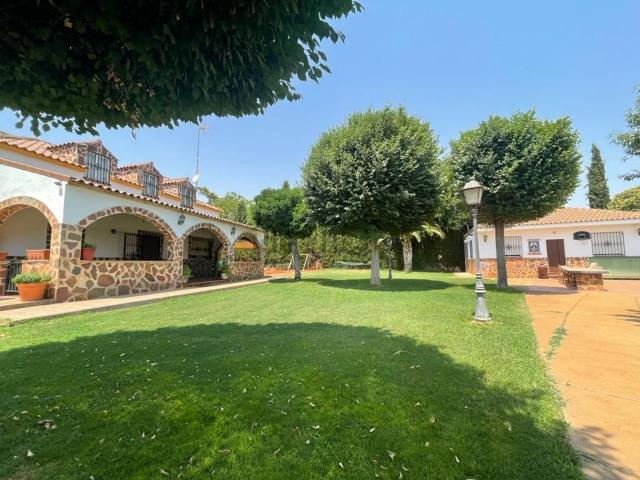 Chalet, Ciudad Real