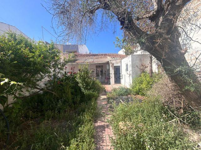 Chalet, Ciutadella de Menorca