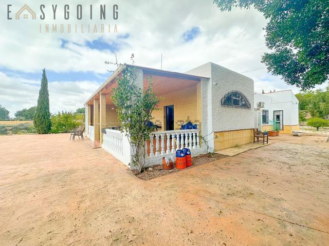Chalet, Crevillente