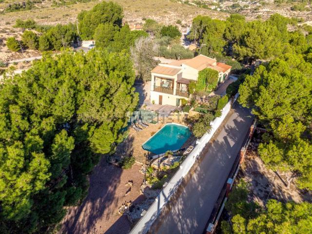 Chalet, Crevillente