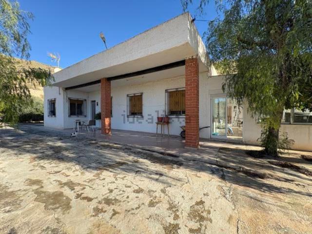 Chalet, Crevillente