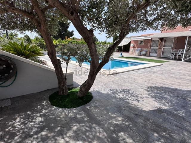 Chalet, Crevillente