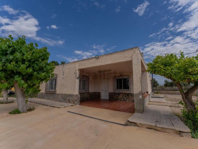 Chalet, Crevillente