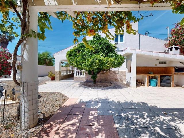 Chalet, Crevillente