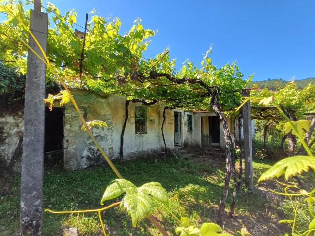 Chalet, A Cañiza