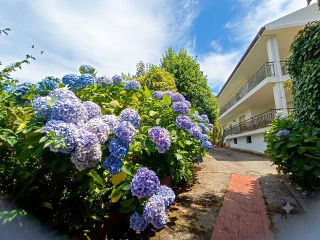 Chalet, A Guarda