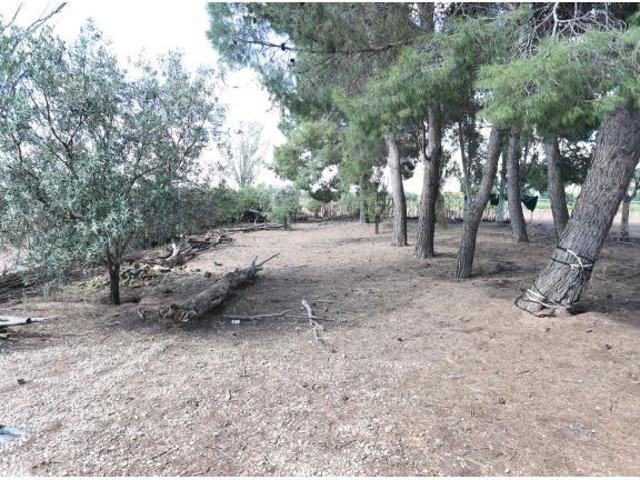 CHALET A LA VENTA JUNTO A ALAMEDA DE CERVERA