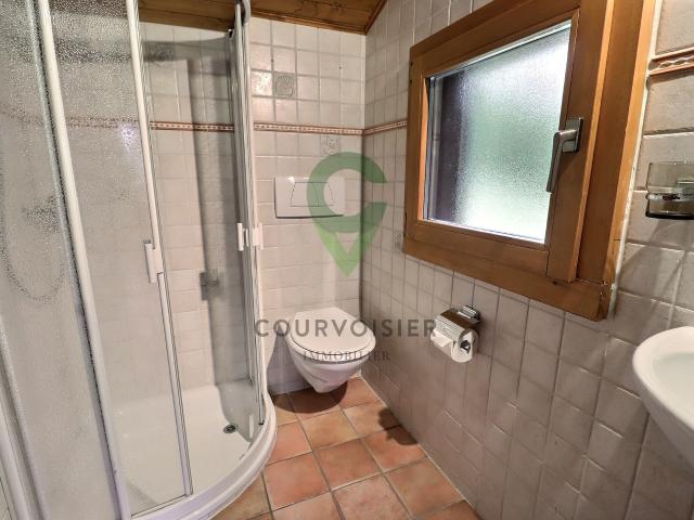 Chalet à rafraîchir offrant cachet et potentiel d'aménagement | dreamo. Ch