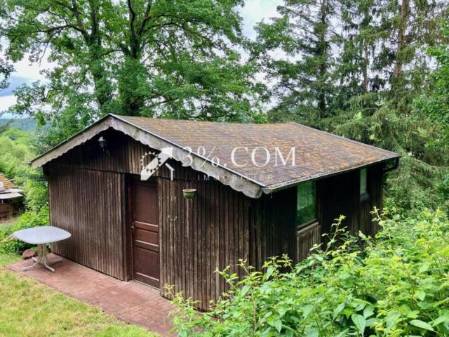 Chalet à rénover en lisière de forêt