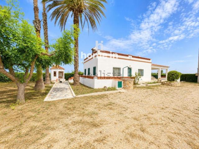 Chalet, Amposta