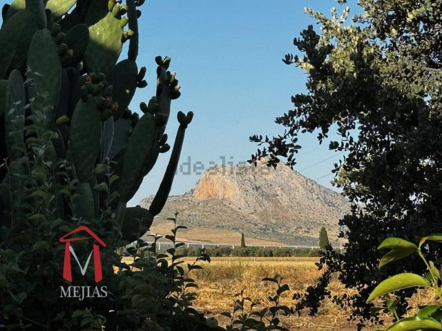 Chalet, Antequera