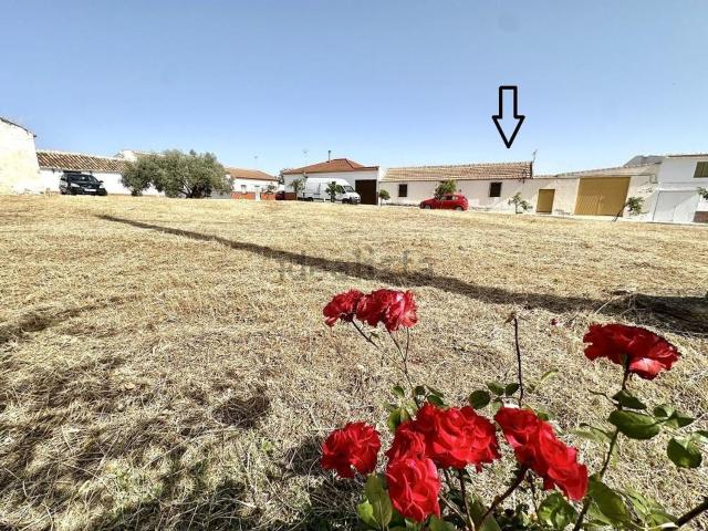 Chalet, Antequera