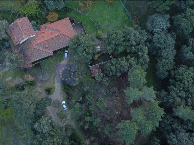 Chalet, Acebo