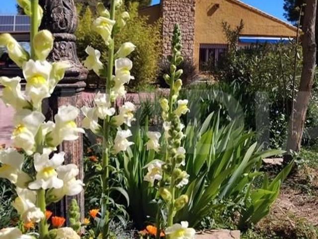 Chalet, Albacete