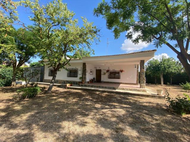 Chalet, Albacete