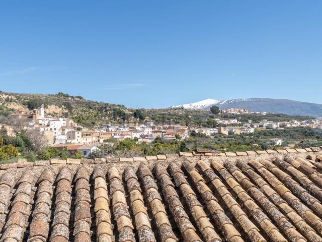 Chalet, Albuñuelas