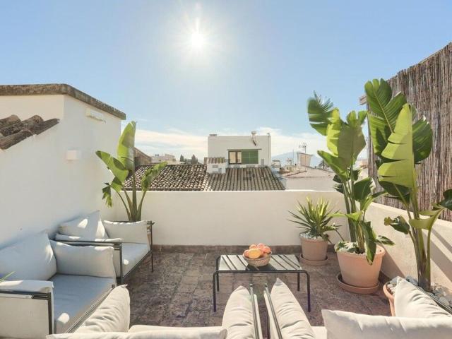 Chalet, Alcúdia