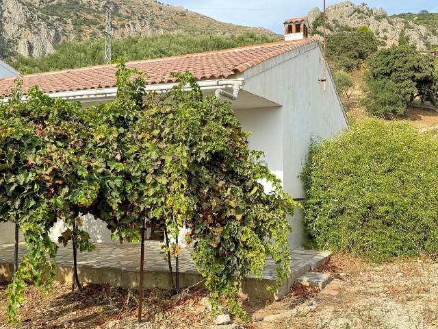 Chalet, Alfarnatejo