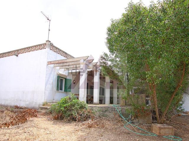 Chalet, Algaida