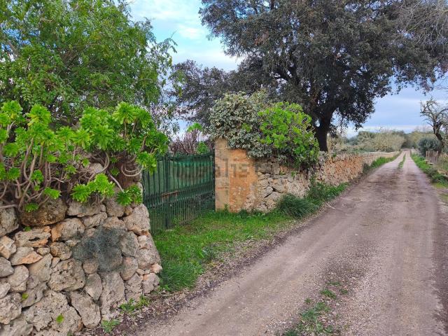 Chalet, Algaida
