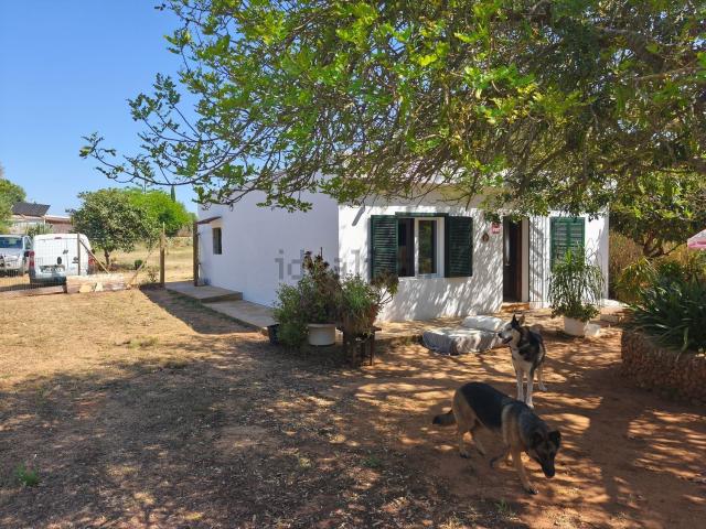 Chalet, Algaida