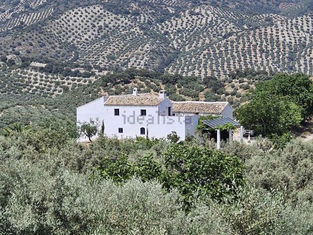 Chalet, Algarinejo