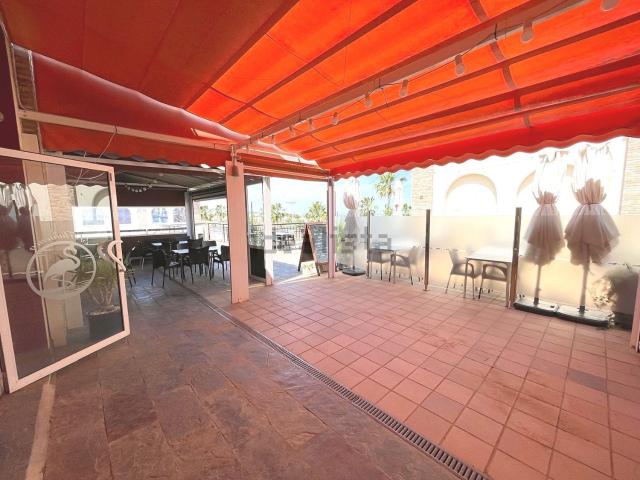 Chalet, Algorfa