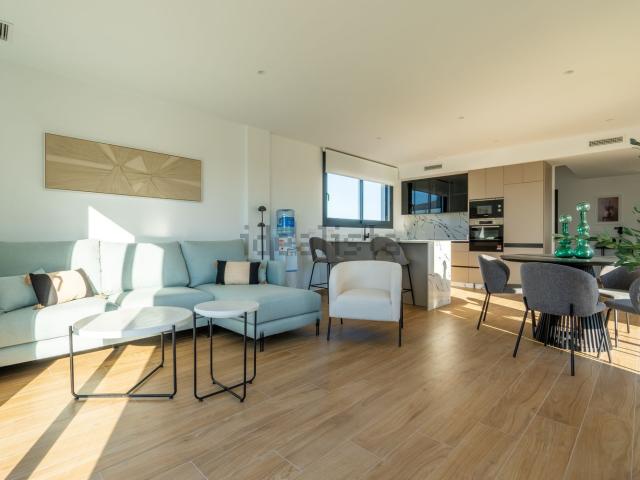 Chalet, Algorfa
