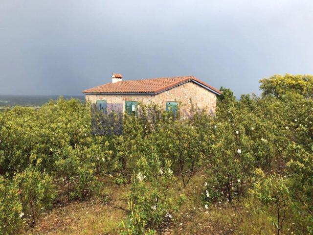Chalet, Aliseda
