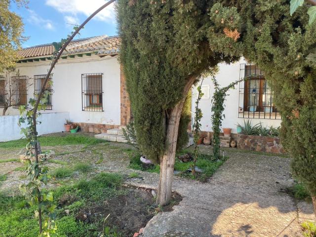 Chalet, Almagro