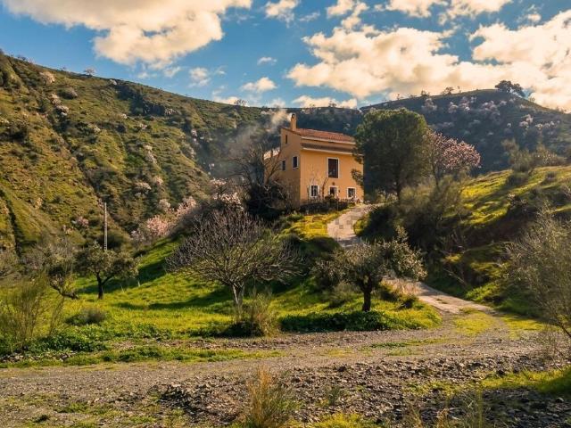 Chalet, Almogía