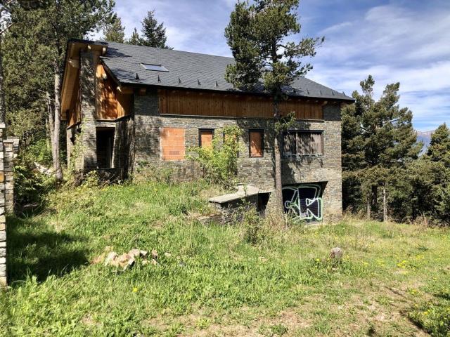 Chalet, Alp