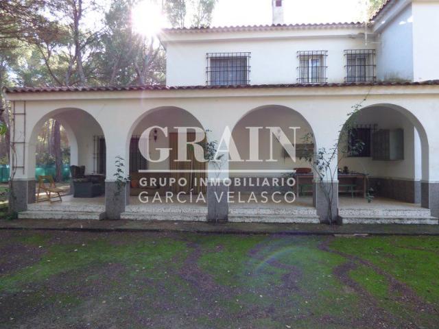 Chalet Alquiler Albacete
