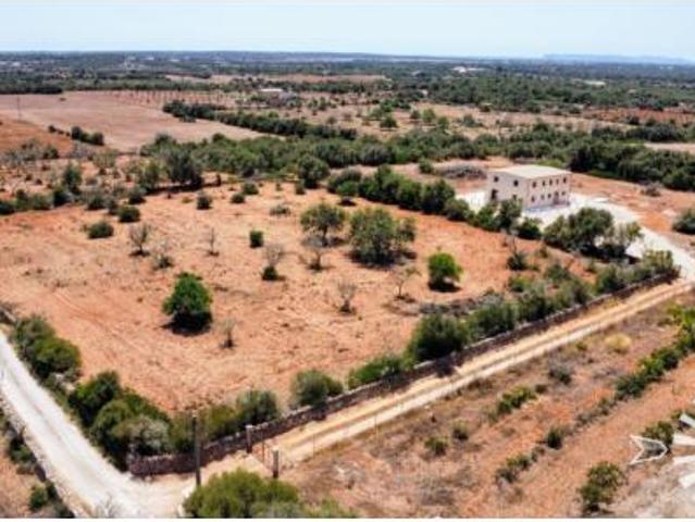 Chalet Alquiler Ses Salines, Ses Salines